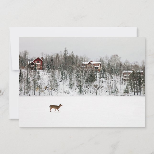 Carte De Remerciements Glace et neige | Cerf en Neige Québec, Canada (Devant)