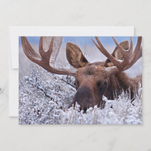Carte De Remerciements Glace & Neige Parc national de Grand Teton, Wyom