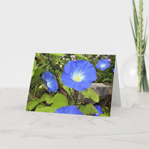Carte De Remerciements Glories du matin