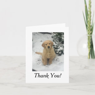 Carte de remerciements - Golden Retriever