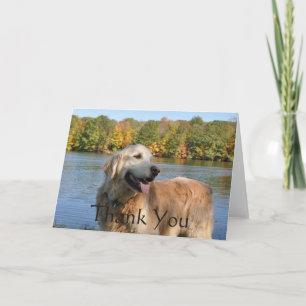 Carte De Remerciements Golden Retriever