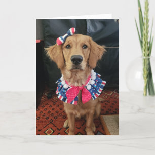 Carte De Remerciements Golden Retriever patriotique, 4 juillet salutation