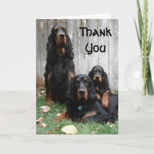 Carte De Remerciements Gordon Setter Generations Thank You Note Card