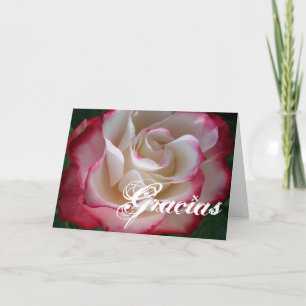 Carte De Remerciements Gracias rouge et blanc Rose