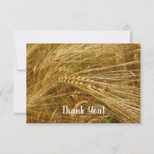 Carte De Remerciements Grains de blé dans le champ. C’est l’heure de la r