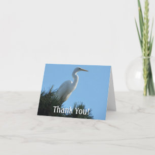 Carte De Remerciements Grande Aigrette en Floride ensoleillée