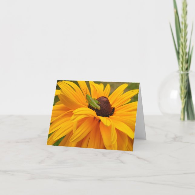 Carte De Remerciements Grasshopper (Devant)