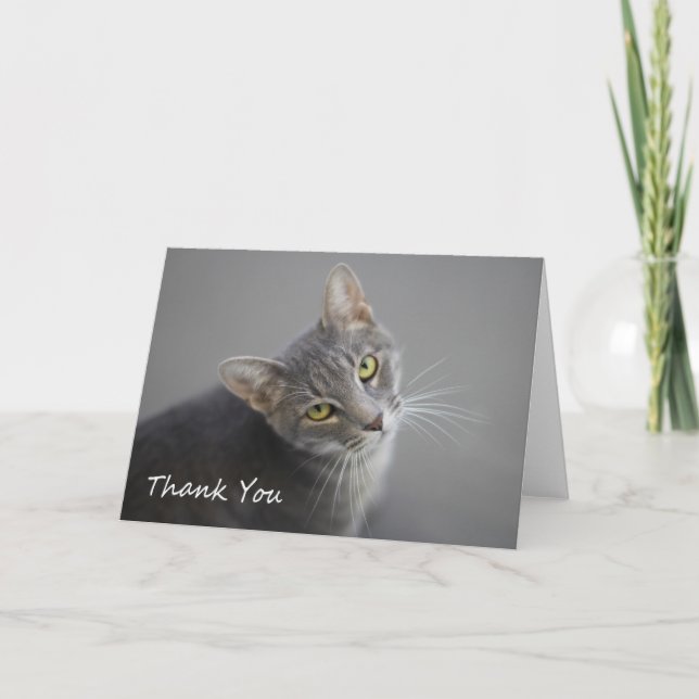 Carte De Remerciements Gray Tabby Cat (Devant)