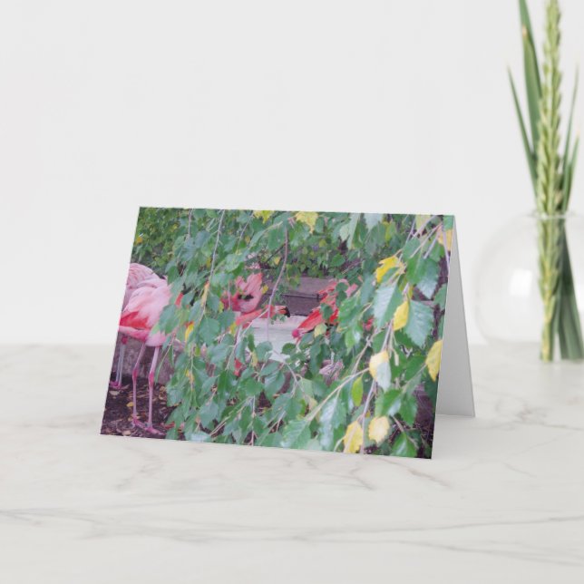 carte de remerciements "Habitat Flamant rose" (Devant)