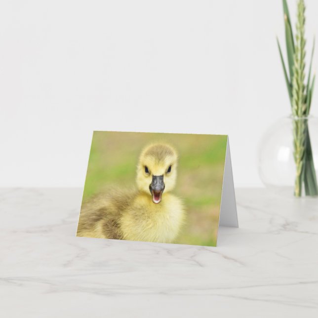Carte De Remerciements Happy Gosling (Canada Goose #2) - Blank Note Card (Devant)