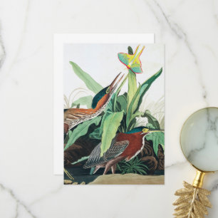 Carte De Remerciements Heron vert par John James Audubon