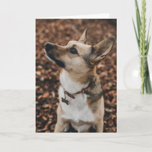 Carte De Remerciements Heureuse Sainte-Valentin Visage de chien Ajout