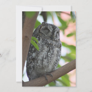 Carte De Remerciements Hibou africain dormant dans un arbre