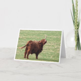 Carte De Remerciements Highland cow Birthday card