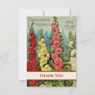 Carte De Remerciements Hollyhocks Red Peach Yellow Cream 1902 Seed Packet