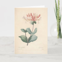 Honeysucké par Redoute Botanical Sympathy Card