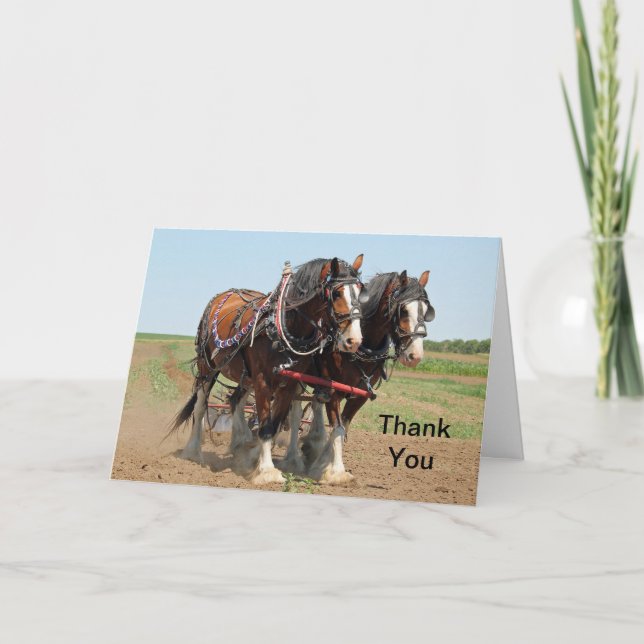 Carte De Remerciements Horse Clydesdale Ferme photo (Devant)