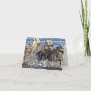 Carte De Remerciements Horses galloping in the water