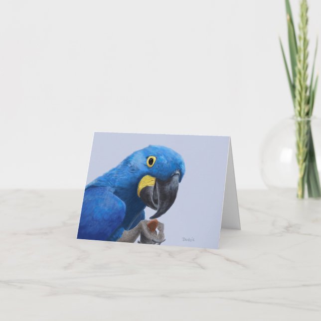 Carte De Remerciements Hyacinth Macaw Encouragement JW (Devant)