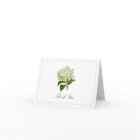 Hydrangea Vert Blanc Fleur Traditionnelle