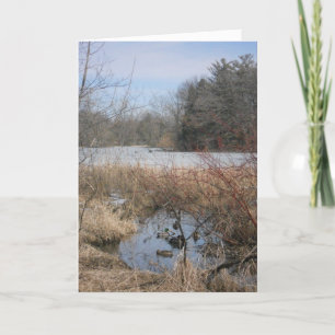 carte de remerciements "Hyland Lake Ducks #1"