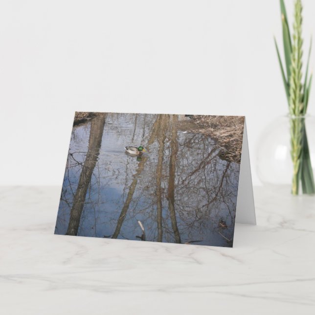 carte de remerciements "Hyland Lake Mallard #1" (Devant)