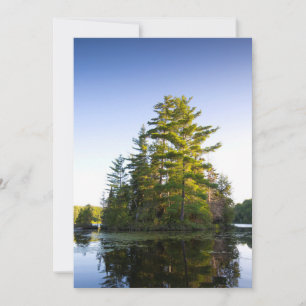 Carte De Remerciements Île sur le lac Long Pond