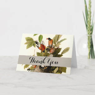 Carte De Remerciements Illustration Audubon American Robin Wildlife Bird
