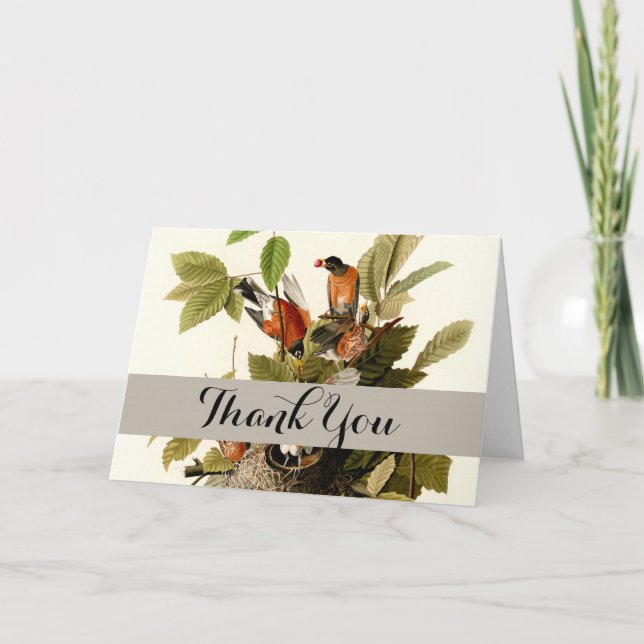 Carte De Remerciements Illustration Audubon American Robin Wildlife Bird (Devant)