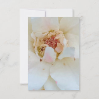 Carte De Remerciements Inventions card