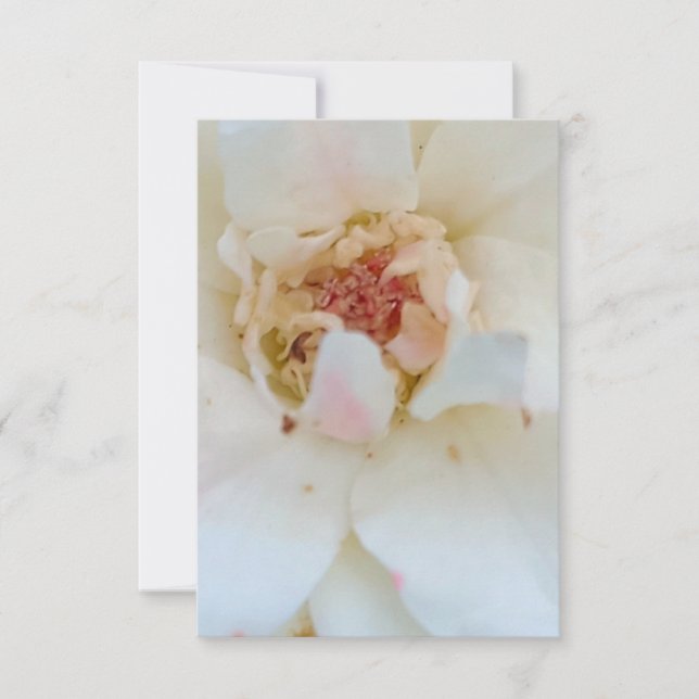 Carte De Remerciements Inventions card (Devant)