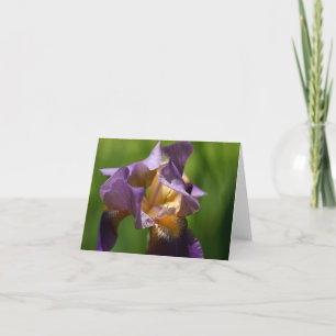 Carte De Remerciements Iris à poils