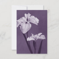 Iris Fine Art