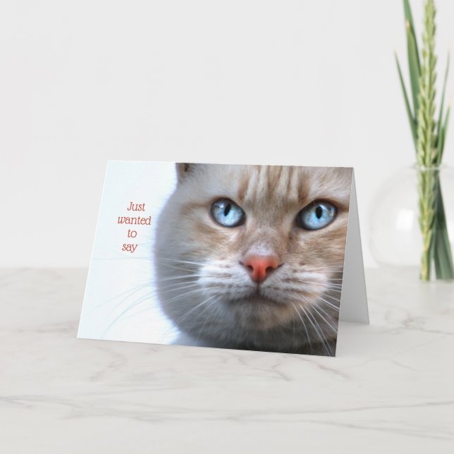 Carte De Remerciements Je voulais juste dire (visage de chat) (Devant)