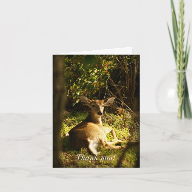 Carte De Remerciements Jeune Buck Dans Le pré (Devant)