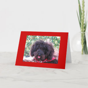 Carte De Remerciements Joey "Merci"