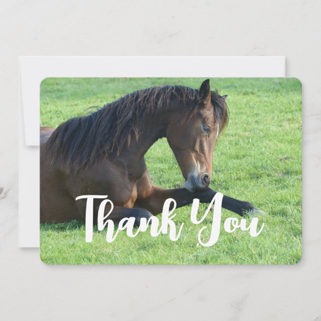 Carte De Remerciements Joli Cheval Brown allongé dans l'herbe (Devant)