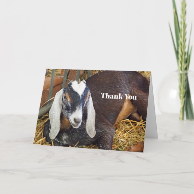Carte De Remerciements Jolie photo de chèvre nubienne (Devant)