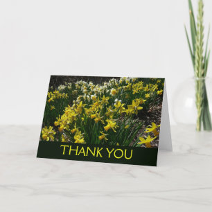 Carte De Remerciements Jonquilles jaunes et blanches Fleurs de printemps