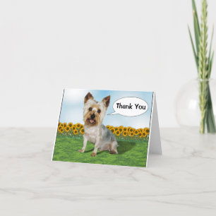 Carte De Remerciements Jote Yorkie avec des tournesols