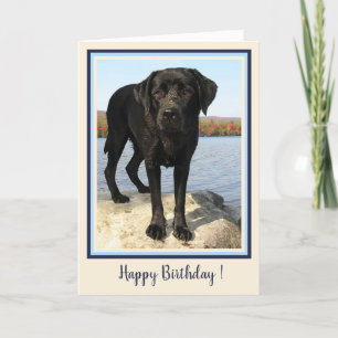 Carte De Remerciements Joyeux Anniversaire Chiots Labrador Noir de la Pla