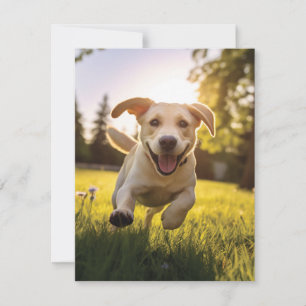Carte De Remerciements Joyeux Labrador Puppy Running