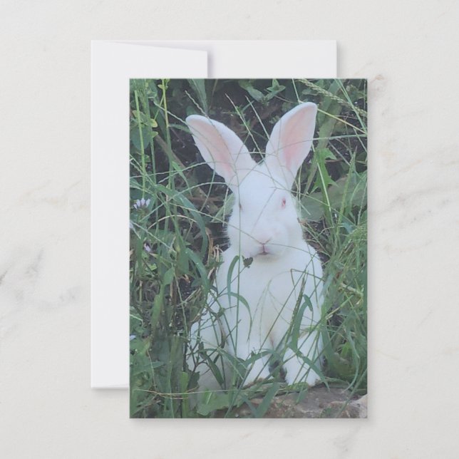 Carte De Remerciements Joyeux Lapin (Devant)