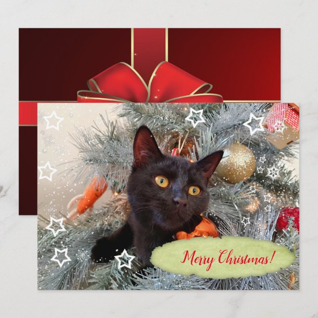 Carte De Remerciements Joyeux Noël chat noir  (Devant / Derrière)