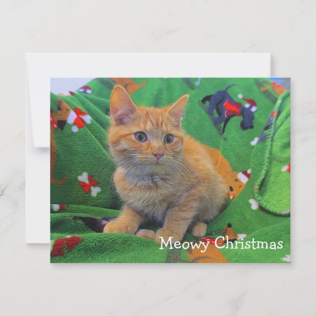 Carte De Remerciements Joyeux Noël Miaou (Devant)