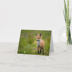 Carte De Remerciements Kit Renard Rouge dans Grassy Meadow Note Card