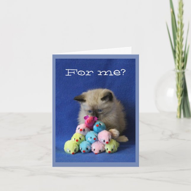 Carte De Remerciements Kitten Cross-Eyed avec Toy Mice (Devant)