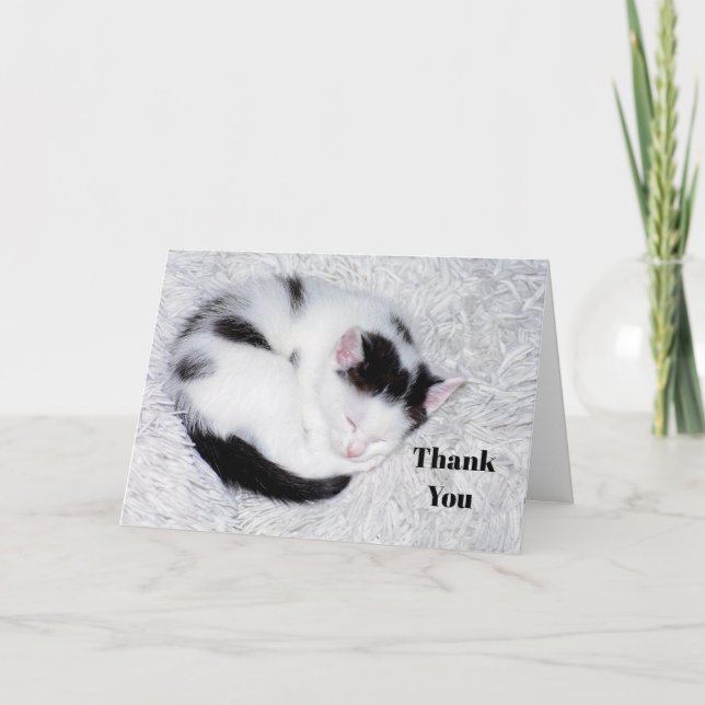 Carte De Remerciements Kitten Photo de couchage noir et blanc (Devant)
