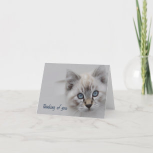 Carte De Remerciements Kitten Thinking of You Card - Personnalisable