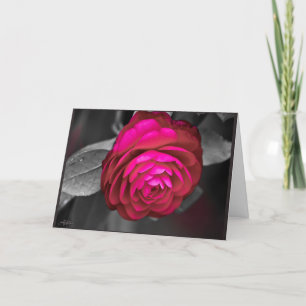 Carte De Remerciements La Camellia Rosy